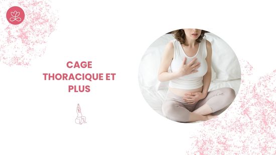 1. Cage thoracique et plus